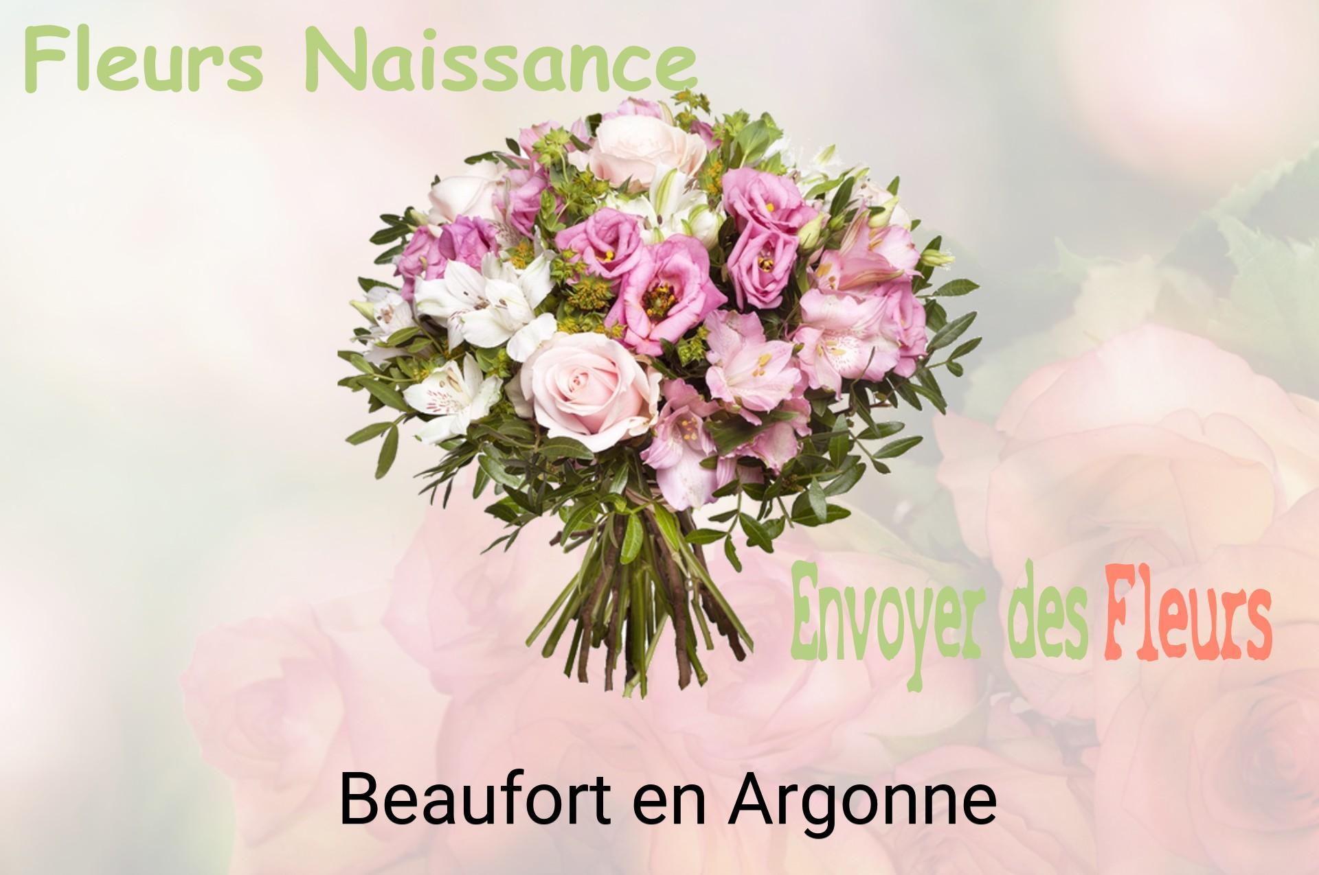 Bouquet de fleurs de naissance livré à Beaufort-en-Argonne